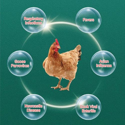 Oral Solution for Poultry