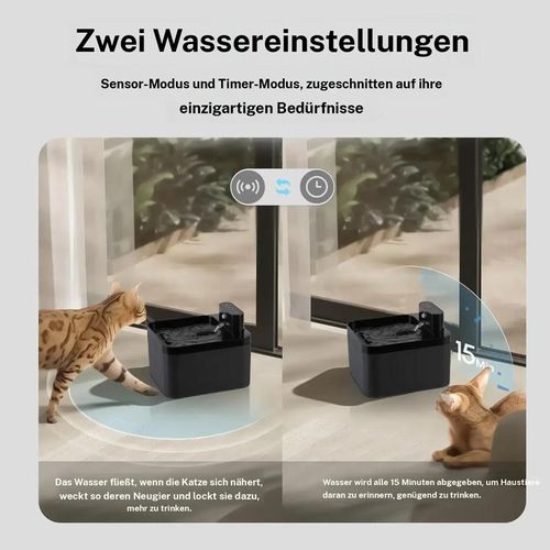 Automatic cat fountain
