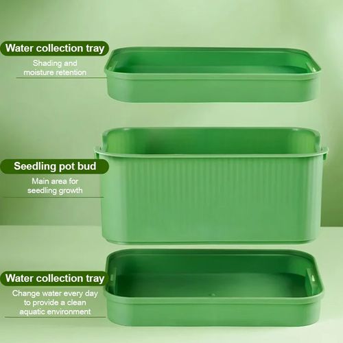 Bean Sprout Grower Box