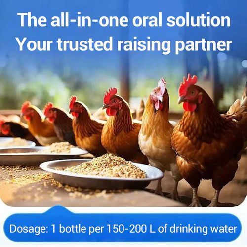 Oral Solution for Poultry