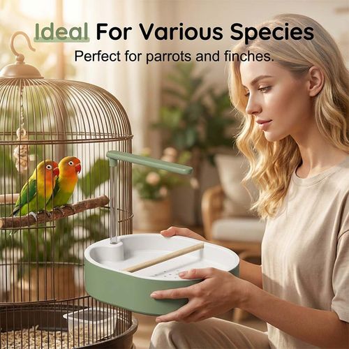 Electric Bird Bath with Rain Shower Perch – Safe