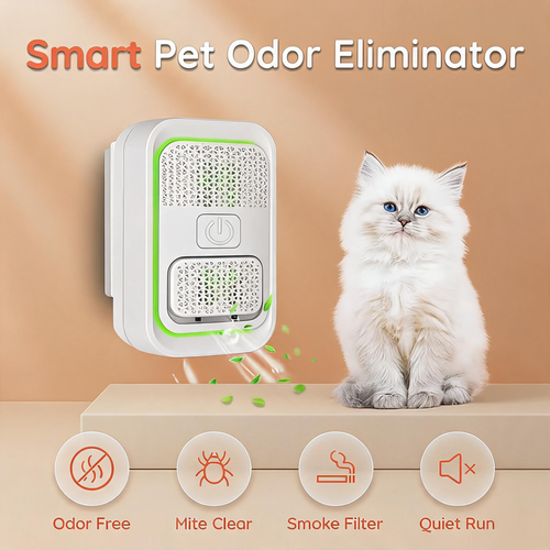 Mini Plug-In Negative Ion Air Purifier