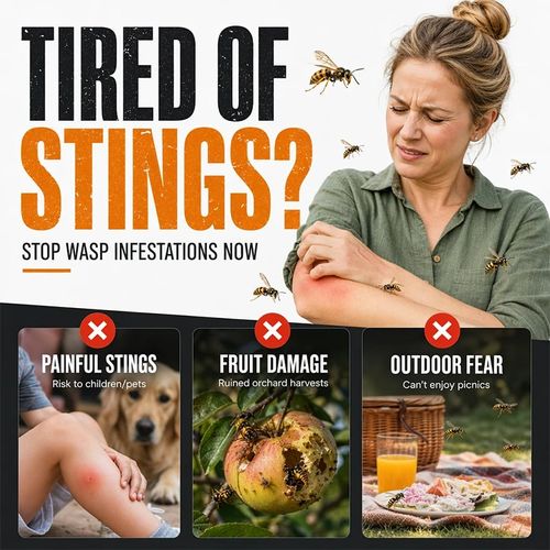 Outdoor Eco Friendly Insect Trap