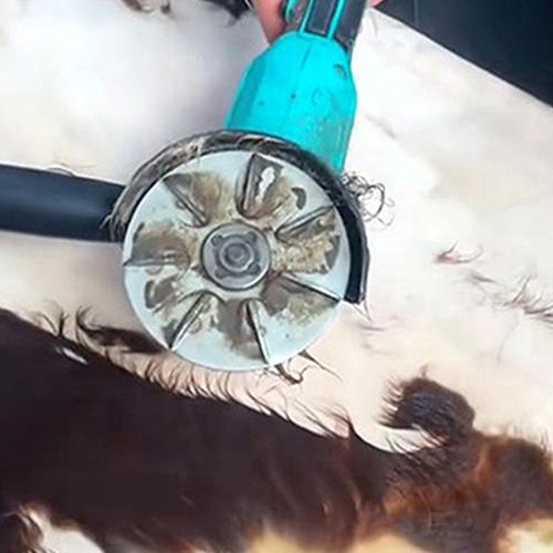 Labor-saving scraping disc for removing pig hair