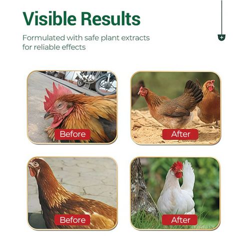Oral Solution for Poultry