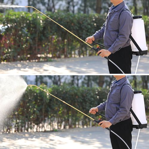Air Pressure Sprayer