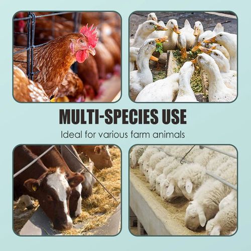 Strong Legs for Your Livestock