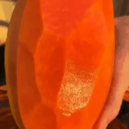 High Sugar Red Flesh Dwarf Papaya Seeds