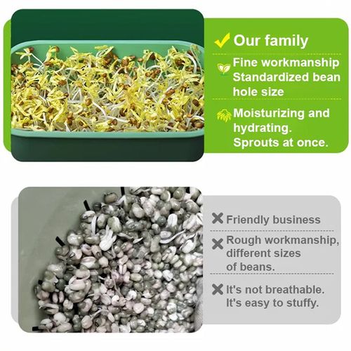 Bean Sprout Grower Box