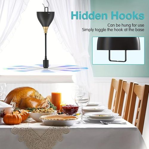 Holographic Fly Repellent Fan Blades