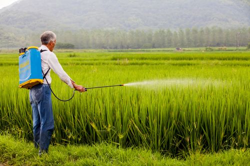 Air Pressure Sprayer