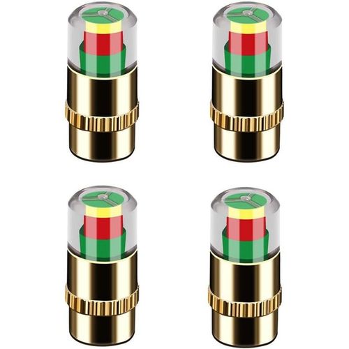Automotive Tire Pressure Monitoring Valve