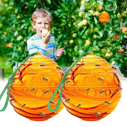 Outdoor Eco Friendly Insect Trap