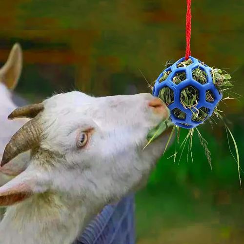 Horse Treat Ball