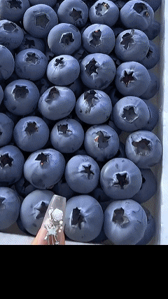 Cold Hardy Perennial Sweet Juicy Blueberry Fruit Seeds for Home Garden