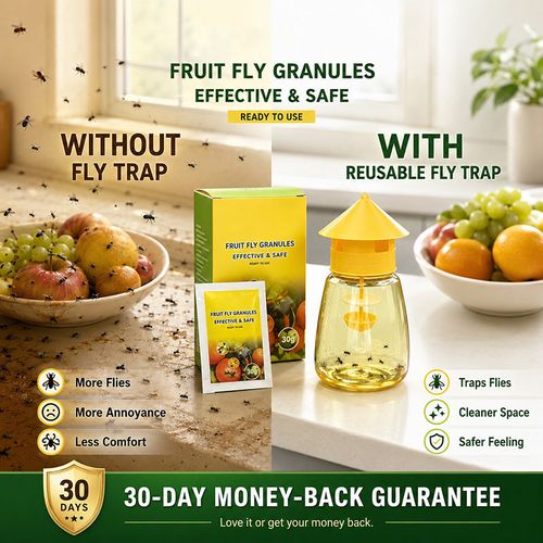 Indoor and Outdoor Hanging Fly Trap