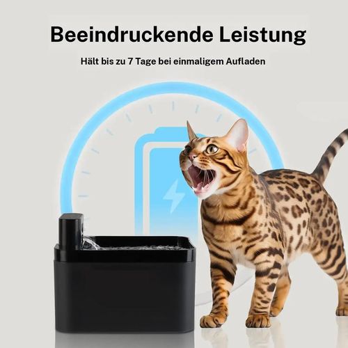 Automatic cat fountain