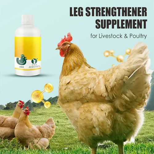 Strong Legs for Your Livestock