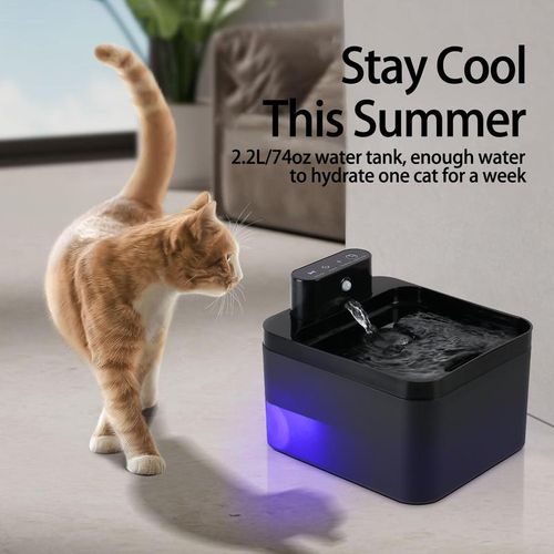 Automatic cat fountain