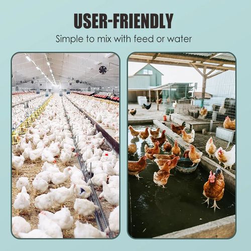 Strong Legs for Your Livestock