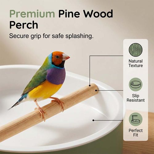 Electric Bird Bath with Rain Shower Perch – Safe