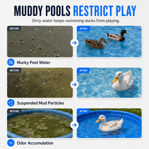 Duck Pond Water Purifie