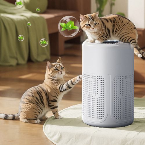 Home air purifier