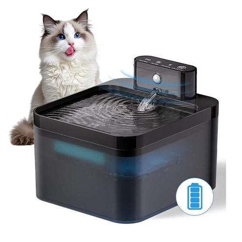 Automatic cat fountain
