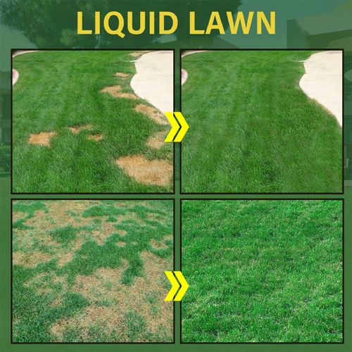 🔥HOT SALE🔥 COD！ Green Grass Lawn Solution, Lawn Spot Repair,Seeding,and Coloring Agent,Dead Grass Spot Repair and Lawn Dye
