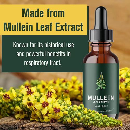 Natural OEM Supplement Mullein Leaf Extract Drops to Support Healthy Breathing Immue Booster