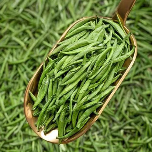 Hot Sale High Quality Ceremonial Loose Leaf Chinese Green Tea for Tea Shops