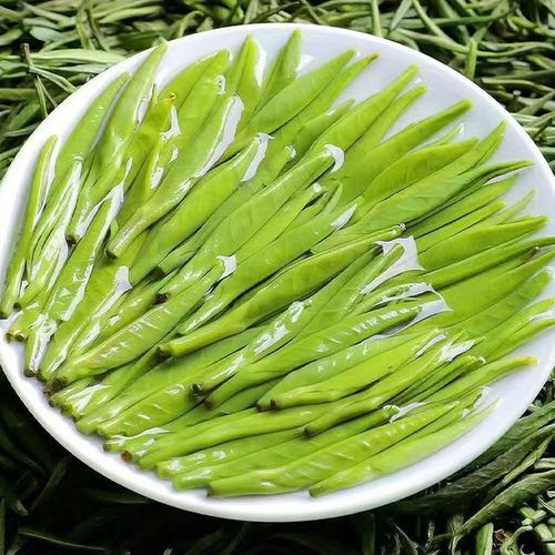 Hot Sale High Quality Ceremonial Loose Leaf Chinese Green Tea for Tea Shops