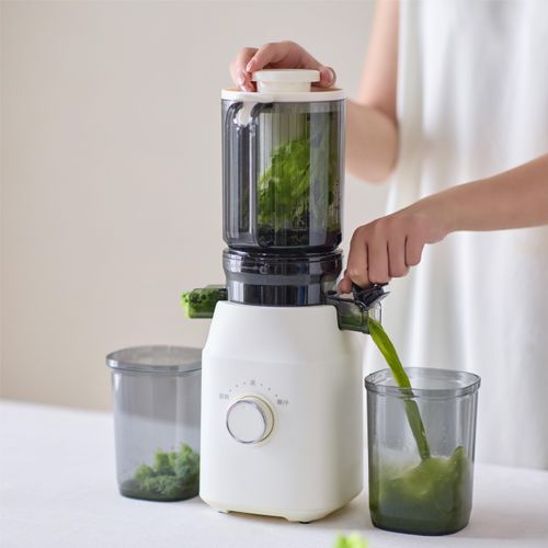 New Professional Citrus Fruit Juice Extractor Big Mouth Vegetable Slow Screw Juicer Cold Press Juicer