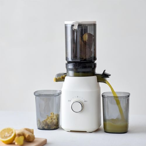 New Professional Citrus Fruit Juice Extractor Big Mouth Vegetable Slow Screw Juicer Cold Press Juicer