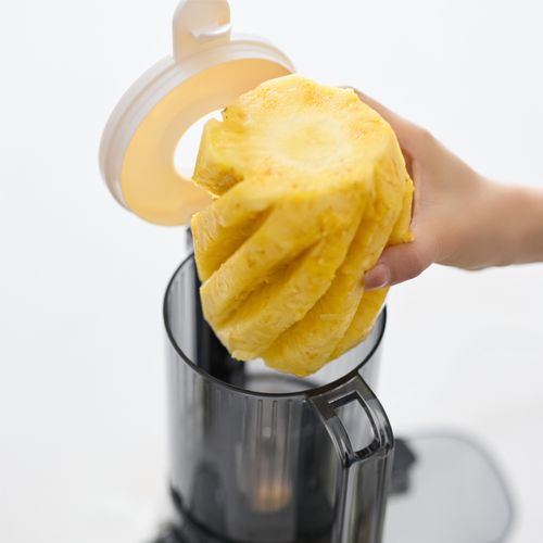 New Professional Citrus Fruit Juice Extractor Big Mouth Vegetable Slow Screw Juicer Cold Press Juicer