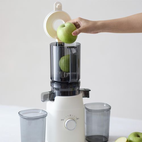 New Professional Citrus Fruit Juice Extractor Big Mouth Vegetable Slow Screw Juicer Cold Press Juicer