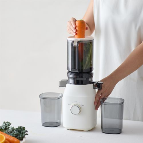 New Professional Citrus Fruit Juice Extractor Big Mouth Vegetable Slow Screw Juicer Cold Press Juicer