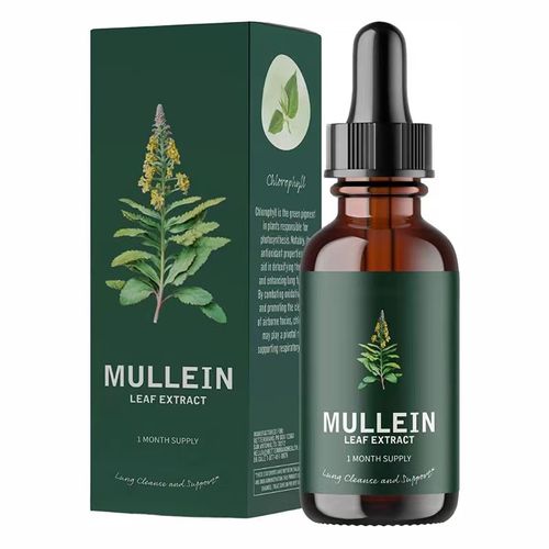 Natural OEM Supplement Mullein Leaf Extract Drops to Support Healthy Breathing Immue Booster
