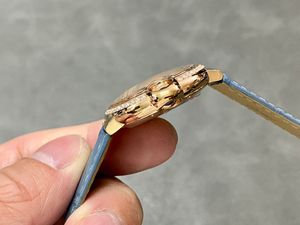 productThumbnail