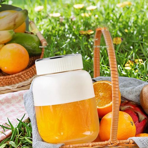 Large capacity portable juicer multifunctional fresh squeeze ice crushing small juicer automatic