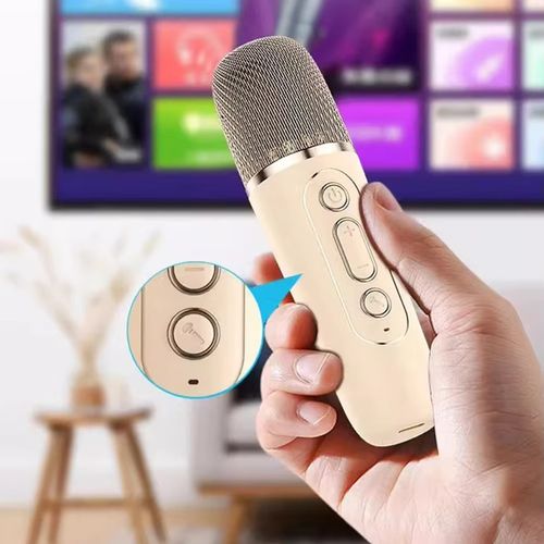Karaoke Speaker with Wireless Microphone - All-in-One Singing Device with Heavy Bass Subwoofer