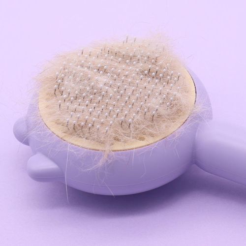 One - click Hair Removal, Suitable for Both Cats and Dogs