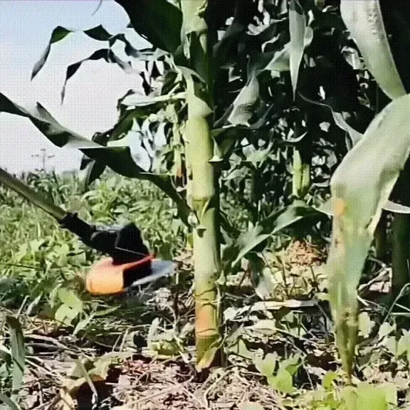 Multi - Function Lawn Mower