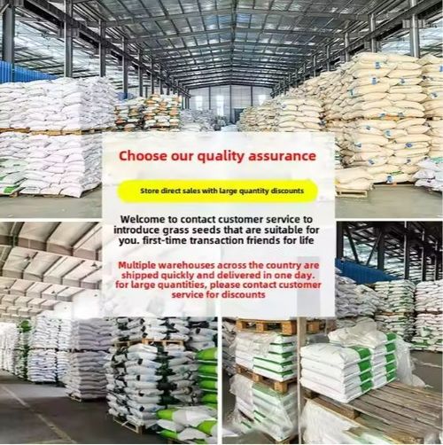 🌺🌺Double Petal Lisianthus Seeds Cold-Resistant All-Season Sowing Easy-to-Bloom Courtyard Platycodon Flower Seeds🌸🌺