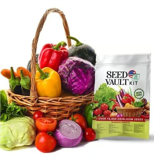 Vegetable Seed Vault Kit | 35 Variety Pack