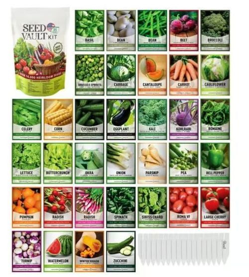 Vegetable Seed Vault Kit | 35 Variety Pack