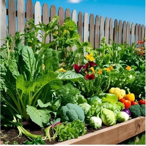 Vegetable Seed Vault Kit | 35 Variety Pack