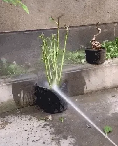 Cordless portable high pressure spray water gun