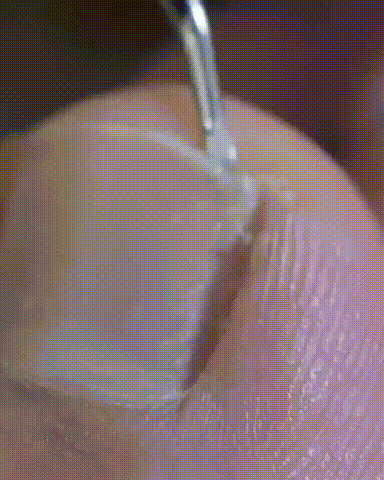 🔥Cortador de unhas profissional