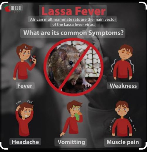 SAY NO TO LASSA FEVER WITH OUR PLASTIC MOUSE TRAP
